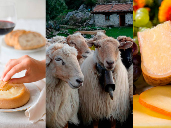 Ruta por 7 quesos españoles