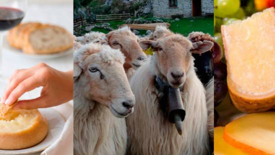 Ruta por 7 quesos españoles