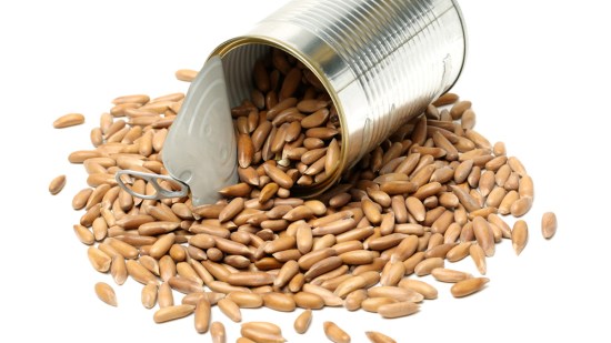 Calorías en 100 g de piñones