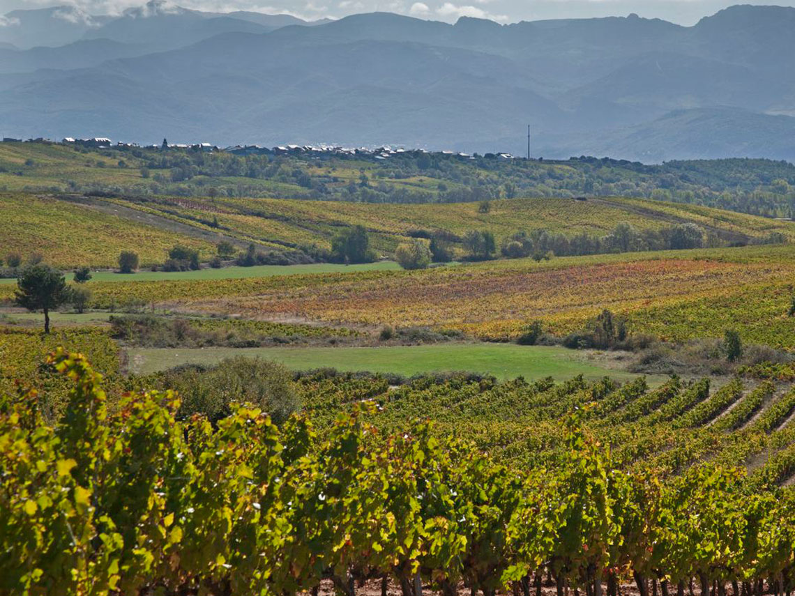 Vinos El Bierzo