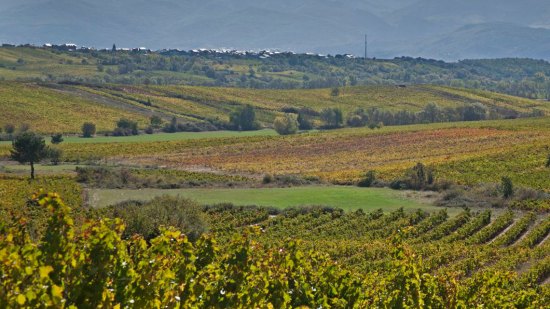 Vinos El Bierzo