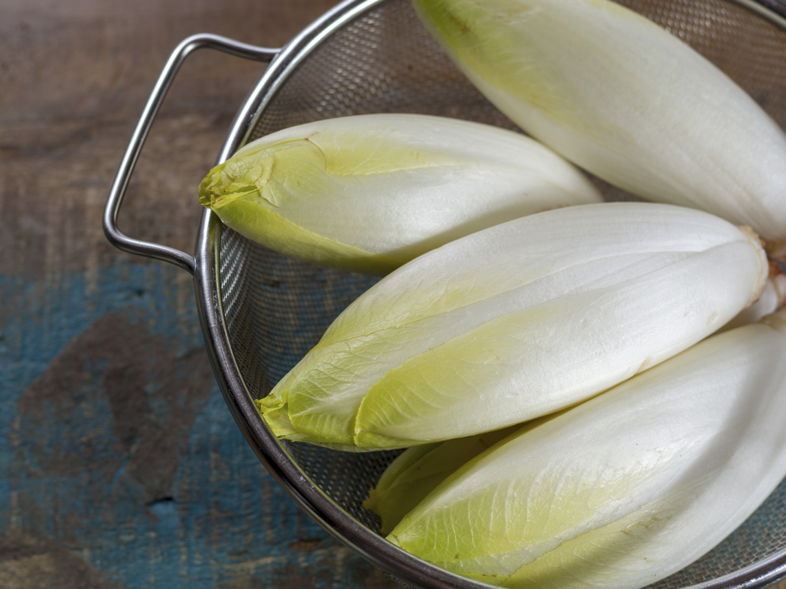 Descubre todos los secretos de las endibias