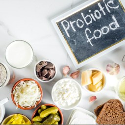 Un excelente probiótico