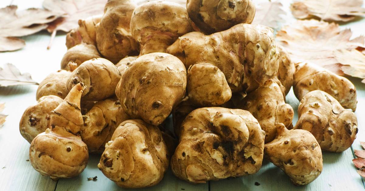 Raíces comestibles que tienes que conocer