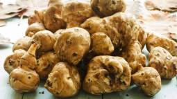 Raíces comestibles que tienes que conocer