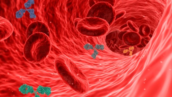 Alimentos que ayudan a limpiar tus arterias