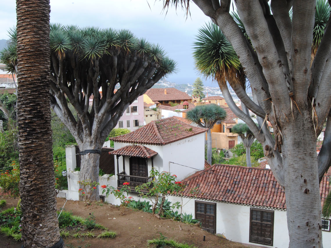 Tenerife en 10 platos típicos de su gastronomía