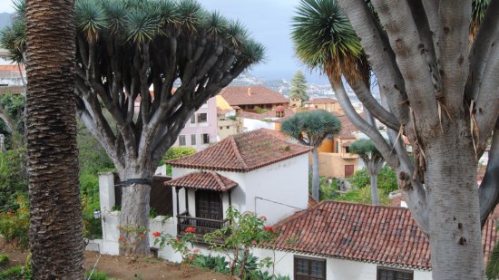 Tenerife en 10 platos típicos de su gastronomía