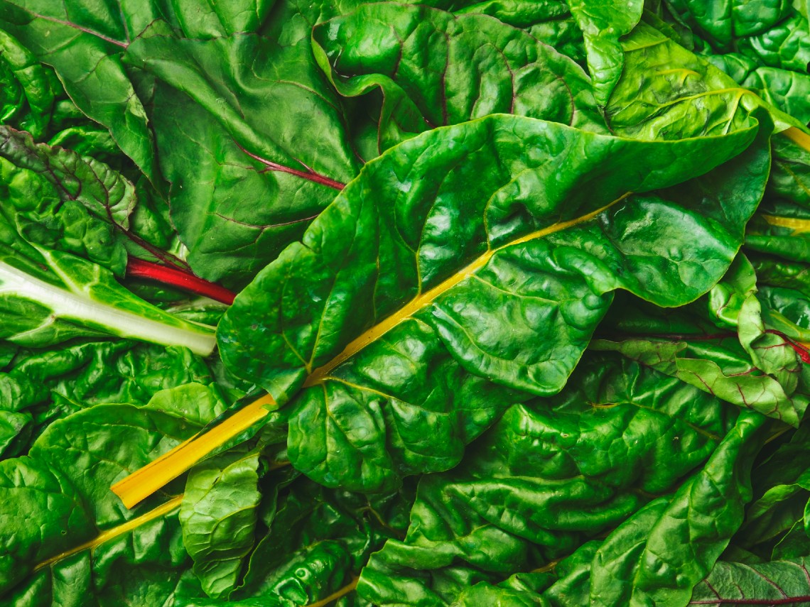 Acelga verde suiza