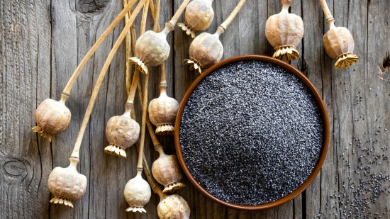 semillas propiedades  amapola