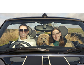 5 consejos básicos para tener buen aroma en tu coche