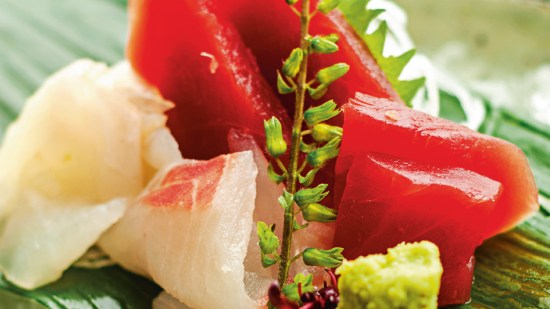 Sashimi de atún rojo y lubina