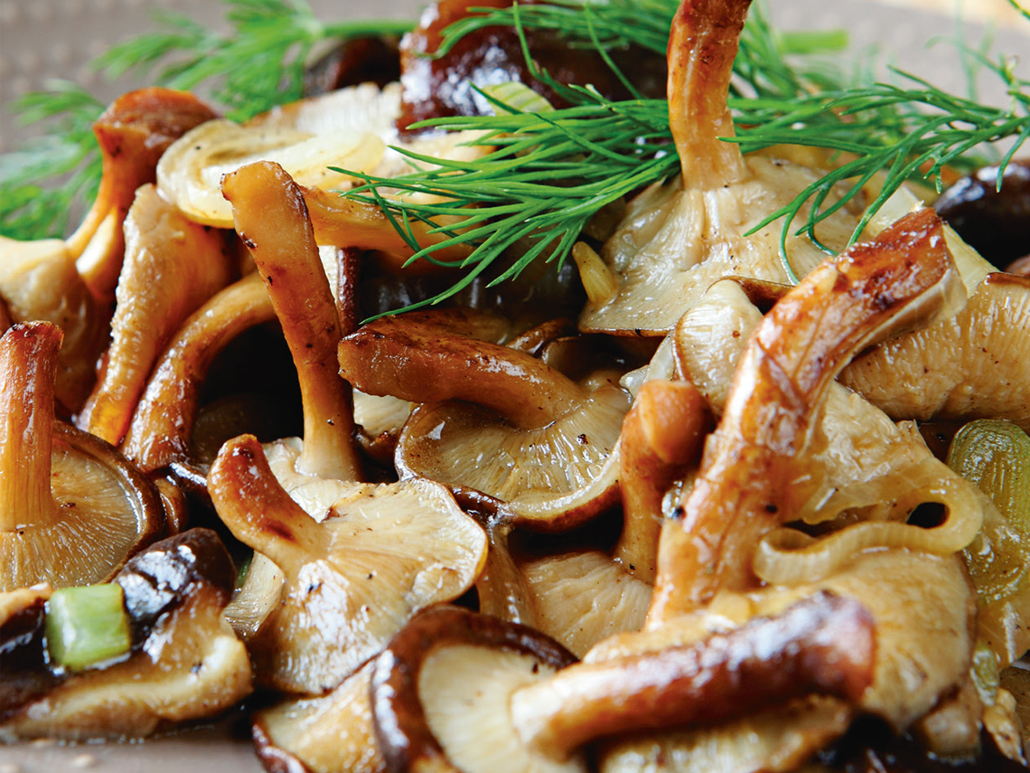Setas con bambú y salsa de soja