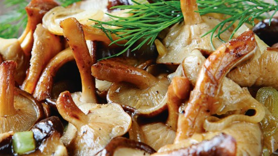 Setas con bambú y salsa de soja