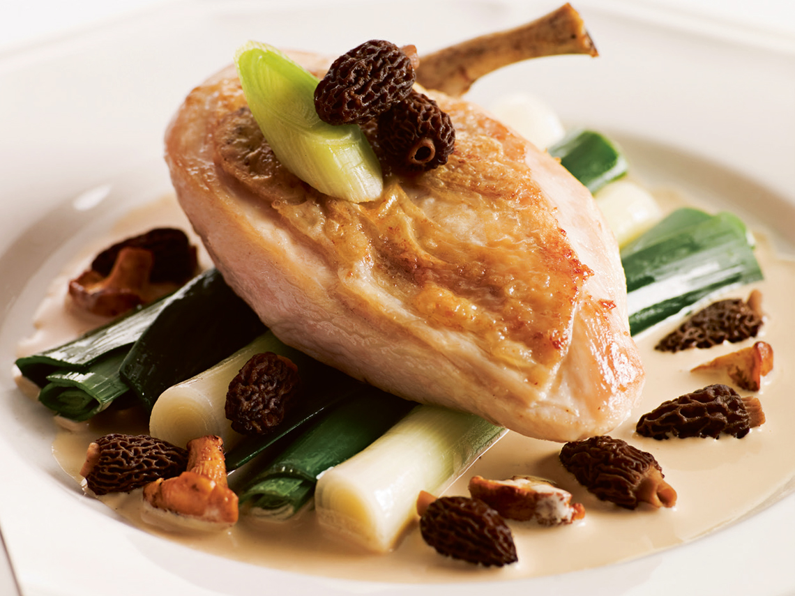 Pollo en salsa de morillas