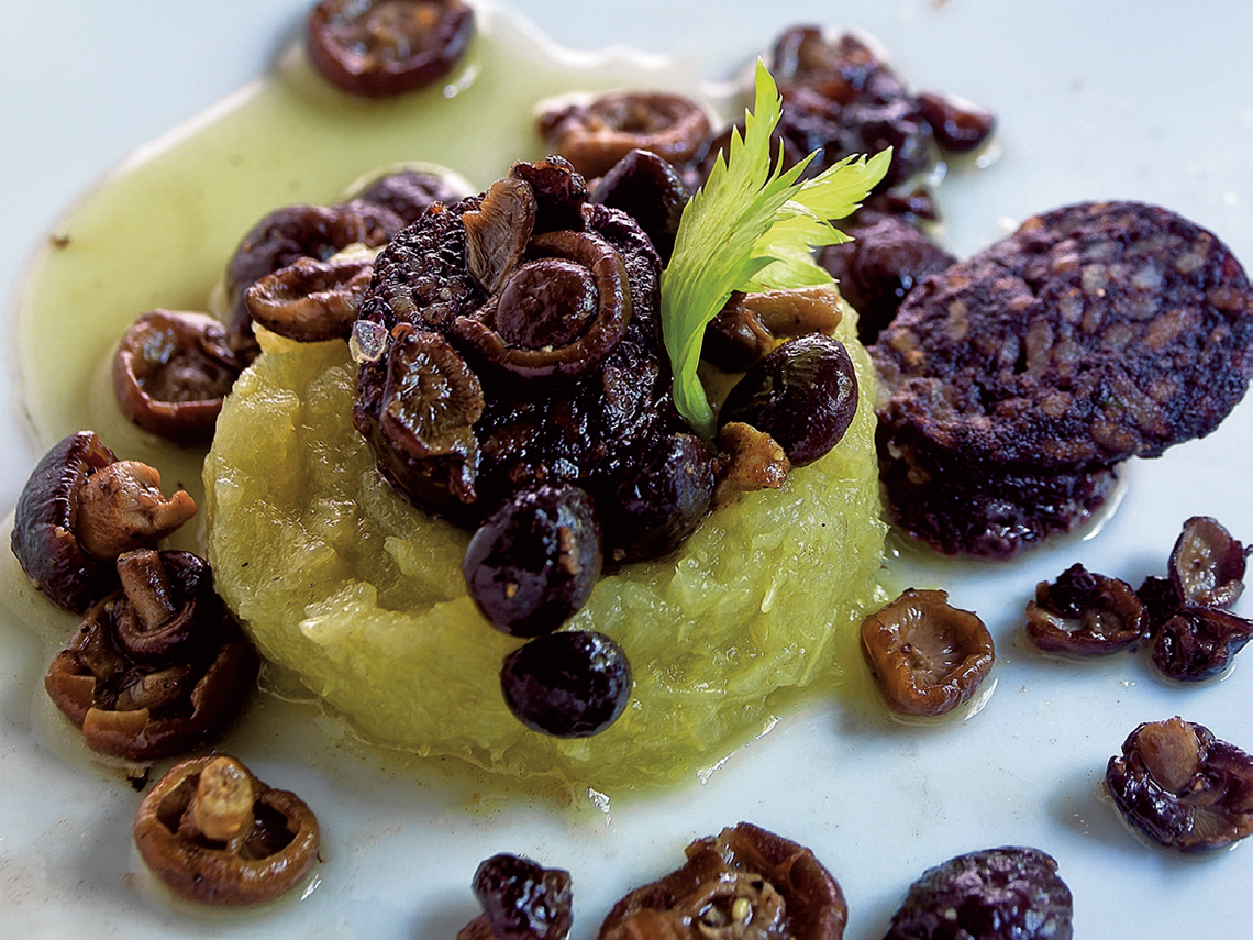 Setas de chopo con puré de apio