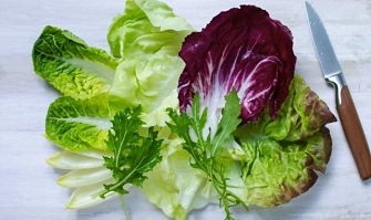 Lechuga Antidiabetes