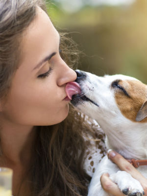 Remedios contra las alergias a los animales domésticos