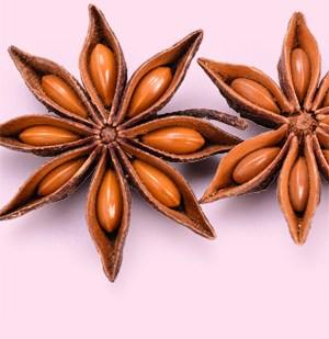 Remedios naturales del anís estrellado