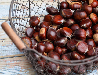La castaña: la gran desconocida