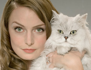 ¿Te gustan los gatos? Descubre su pasado mágico