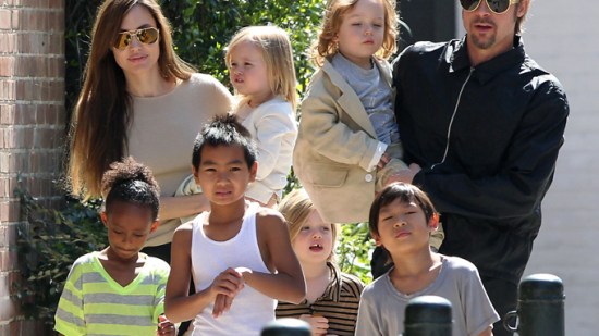 Brad Pitt lucha por la custodia de sus hijos
