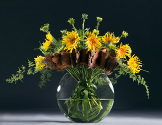 Esparragueras, perfectas para decorar interiores