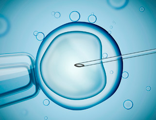 Acumular ovocitos eleva un 60% las posibilidades de embarazo