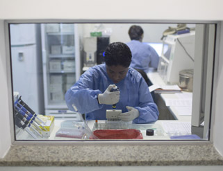 Muere un hombre por una picadura de garrapata. ¿Qué es la fiebre hemorrágica?