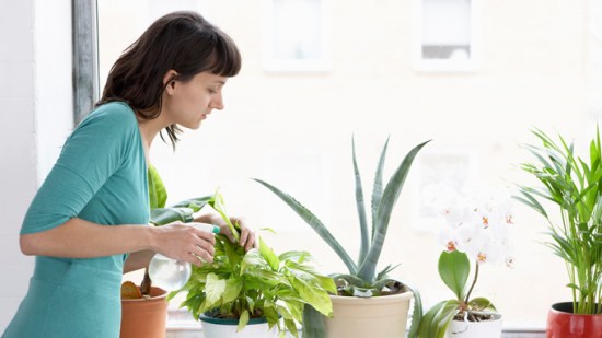 Mujer regando las plantas.