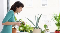 Mujer regando las plantas.