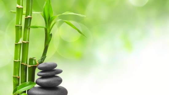 Cuidados del bambú de la suerte