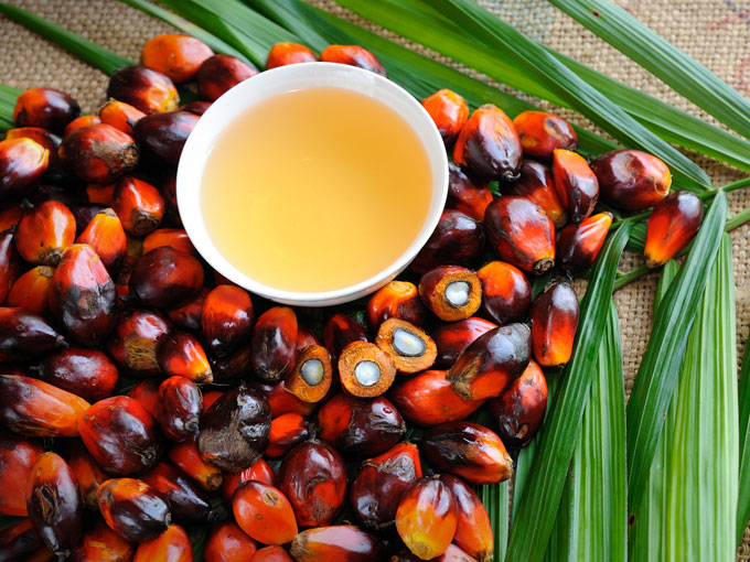 Aceite de palma: vetado en los supermercados