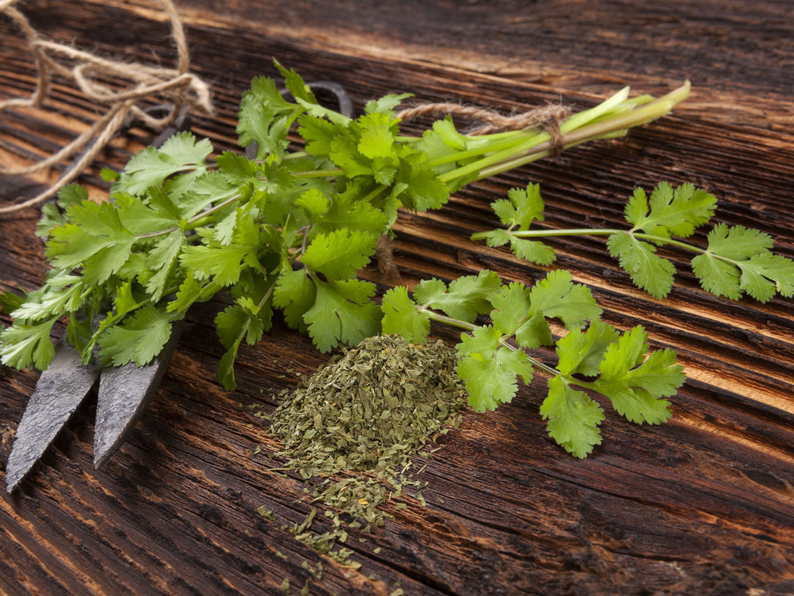 Odio al cilantro o cilantrofobia