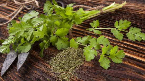 Odio al cilantro o cilantrofobia