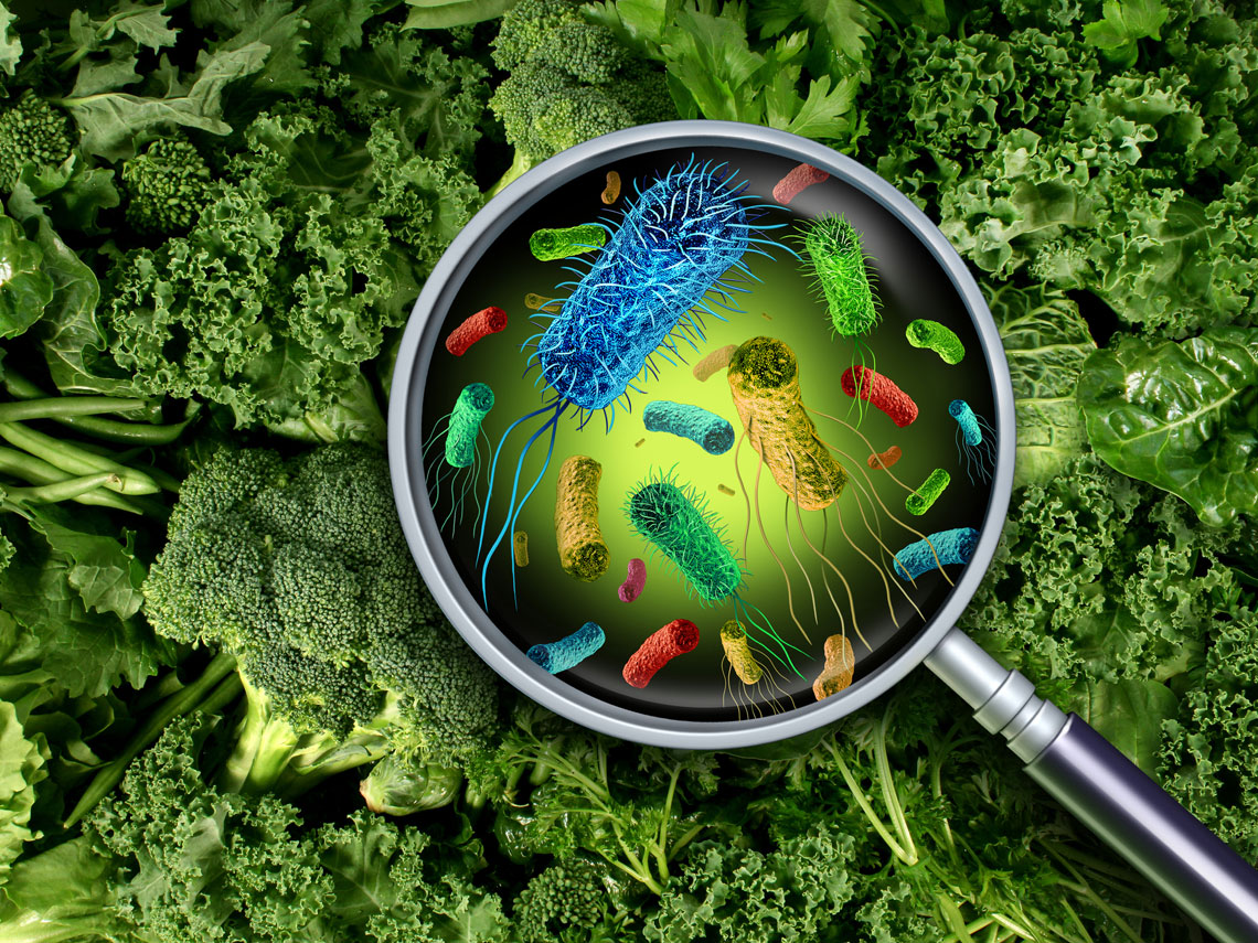 Listeria, la bacteria que pone en jaque tu salud