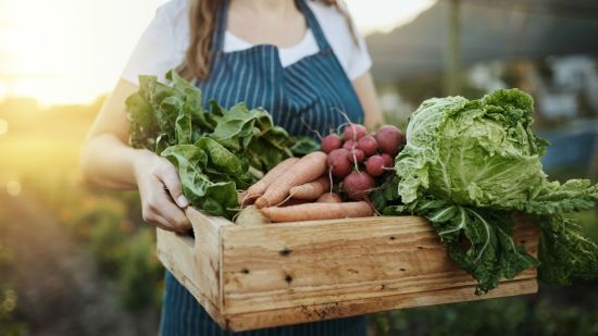 ¿Por qué son más caros los productos ecológicos?