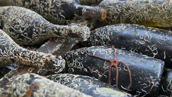 Las bodegas que envejecen sus vinos en el fondo del mar