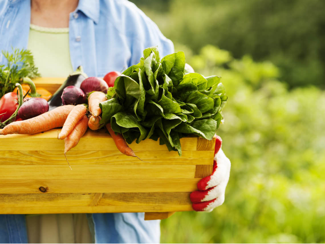 Los alimentos ecológicos son más saludables