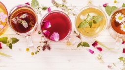 Tipos de té: ¿cuál es el que te va mejor?