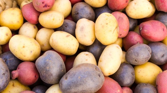 ¿Cuántas variedades de patata hay?