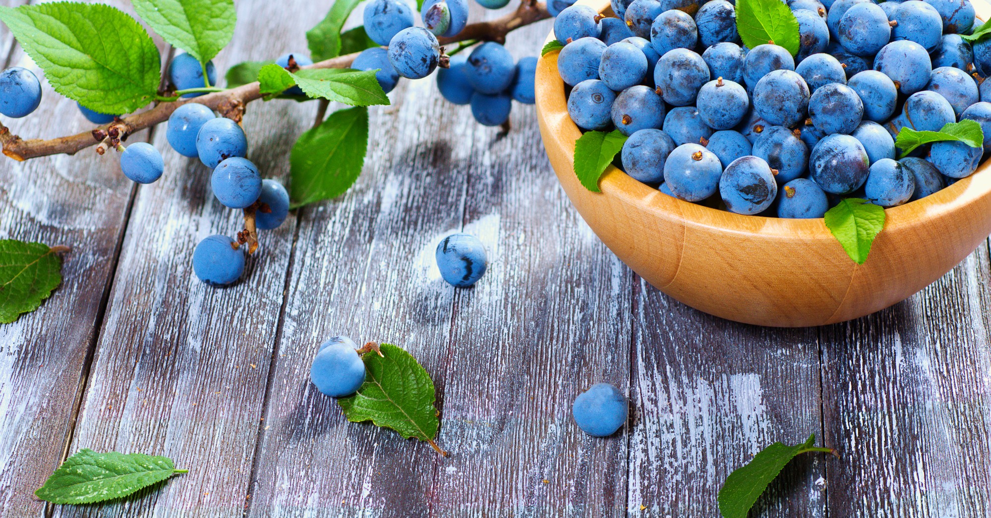 Qué son las endrinas y cómo hacer ginebra con ellas