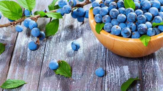 Qué son las endrinas y cómo hacer ginebra con ellas