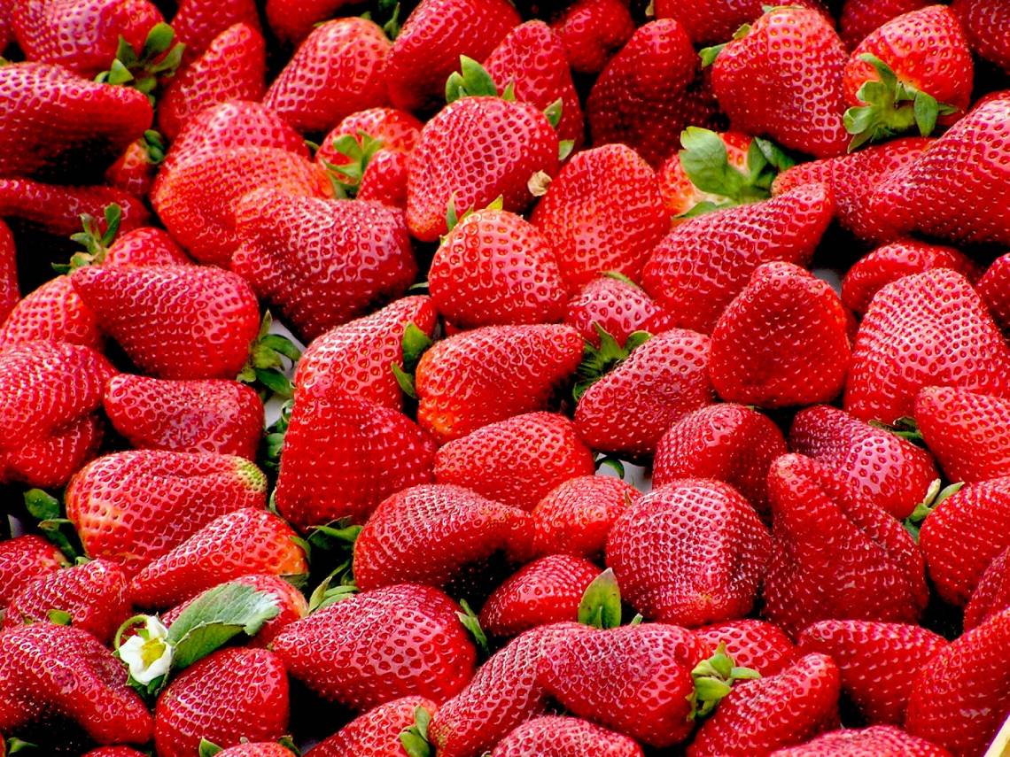 Fresas