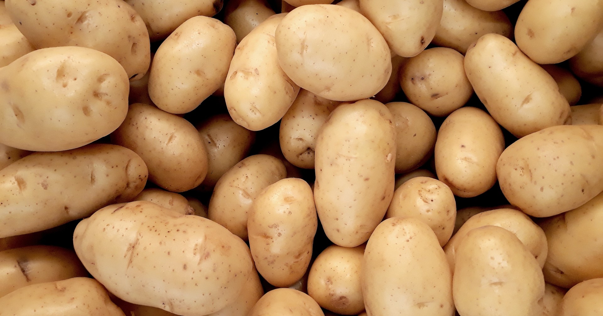 Propiedades de la patata y todo lo que debes saber sobre ella antes de comerla