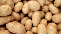 Propiedades de la patata y todo lo que debes saber sobre ella antes de comerla