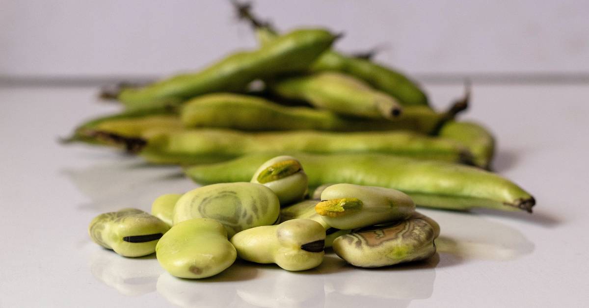 Habas: tipos, propiedades e ideas para incluirlas en tu dieta