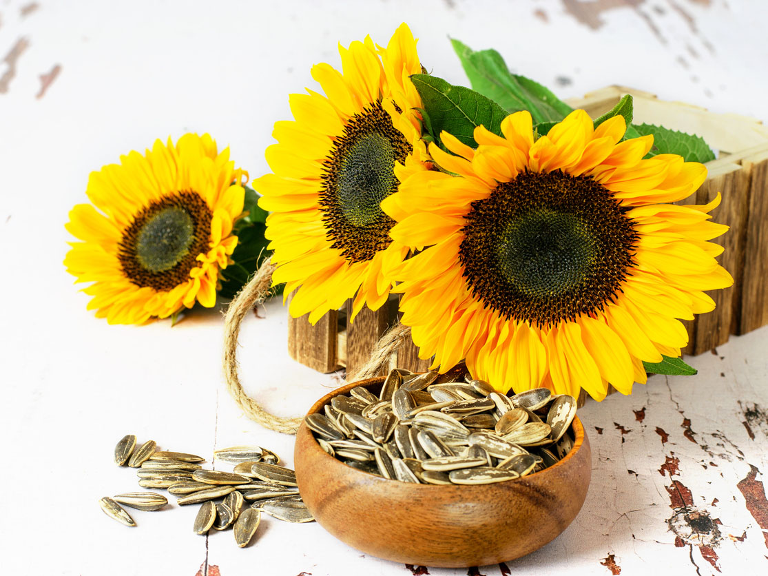 beneficios pipas de girasol