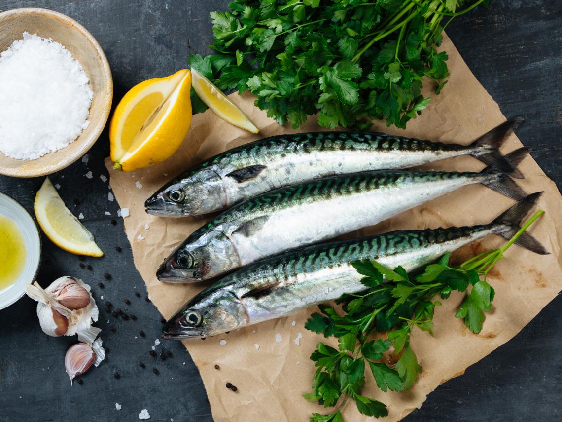 Cuál es el pescado azul de temporada que recomienda la OCU
