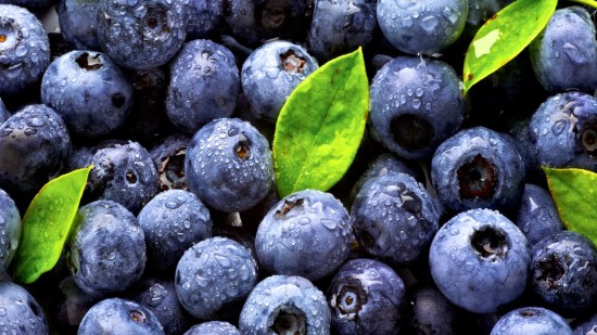 Arándanos